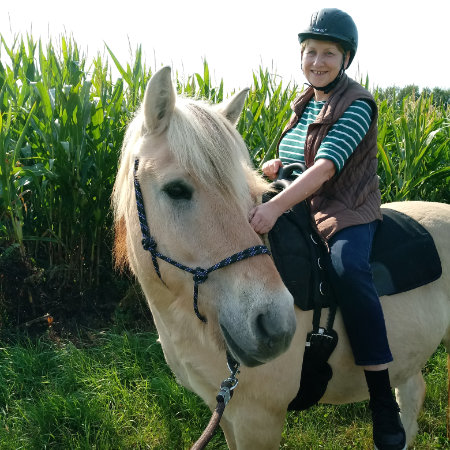 Reiten Therapie Eine Frau sitzt mit einem Therapiegurt auf einem Fjordpferd.