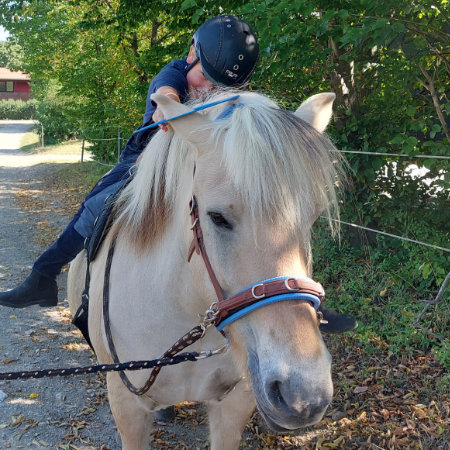 Reittherapie Fjordpferde Ein Kind sitzt auf einem Fjordpferd.
